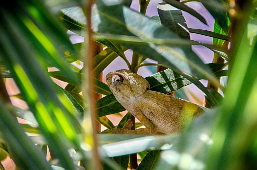 Travel Photography Tours