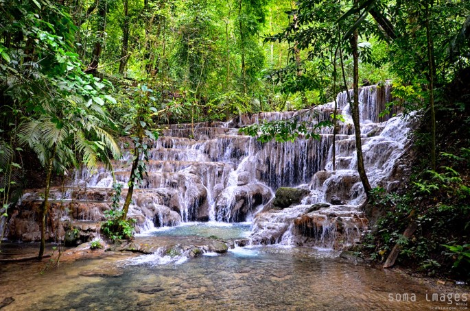 The Lush Green Jungles of Chiapas MexicoSoma Images