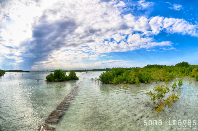 Olango Island Wildlife Sanctuary, Cebu, PhilippinesSoma Images