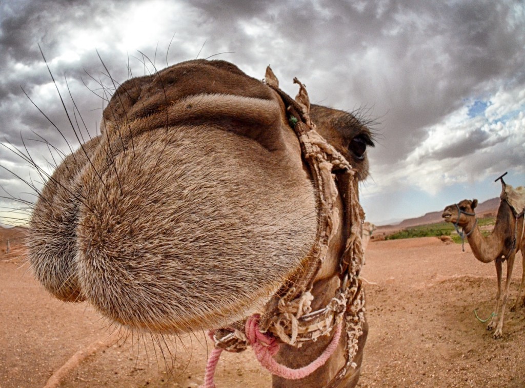 Travel Photography Tours