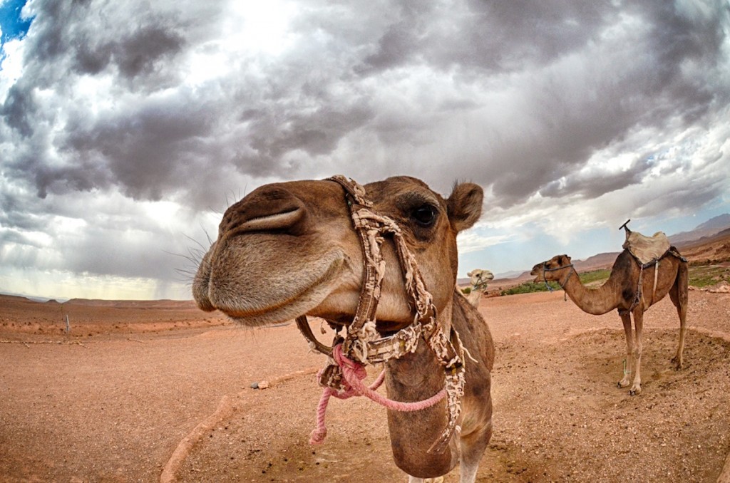 Photo Workshops