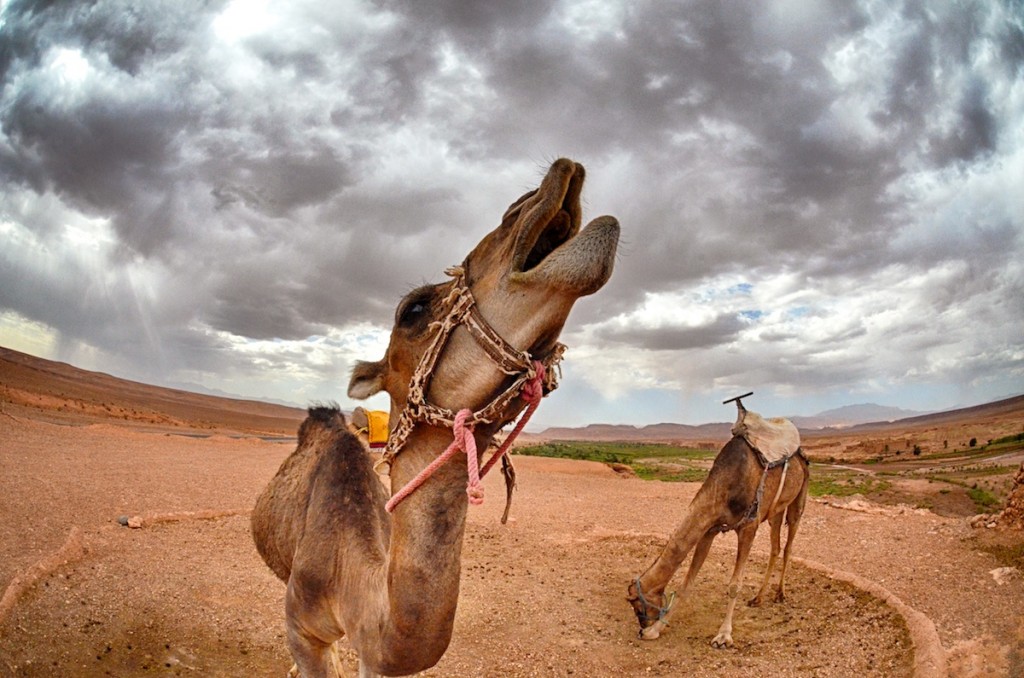 Travel Photography Tours