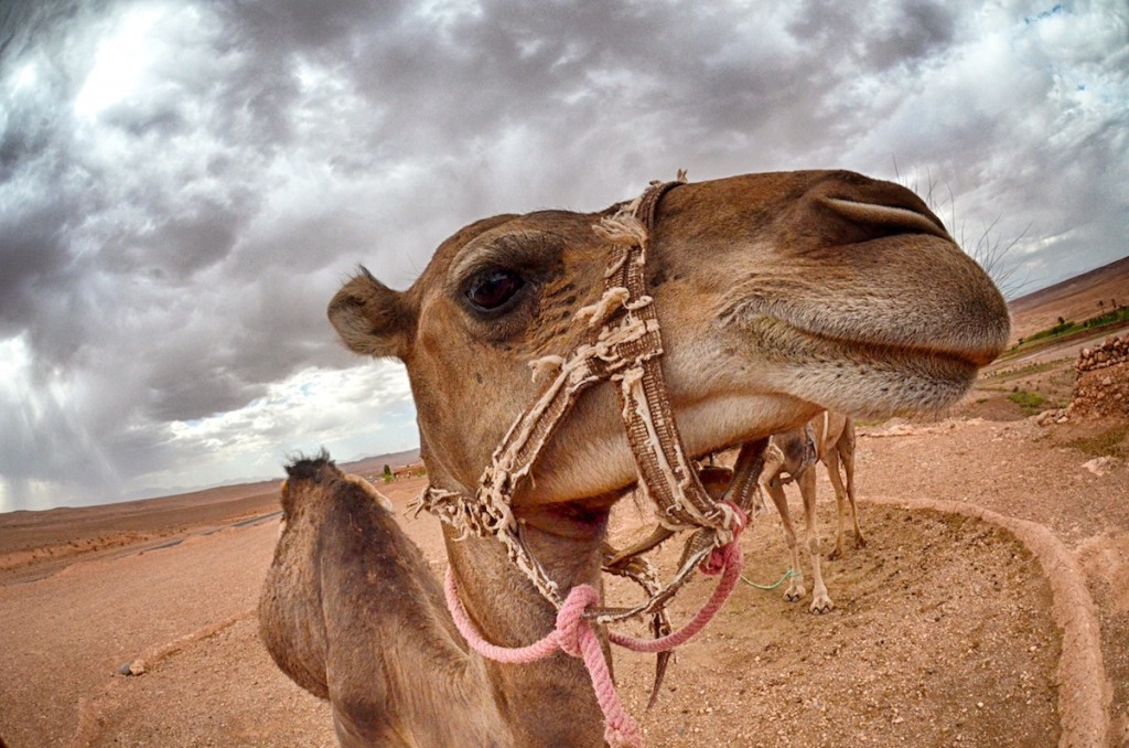Travel Photography Tours