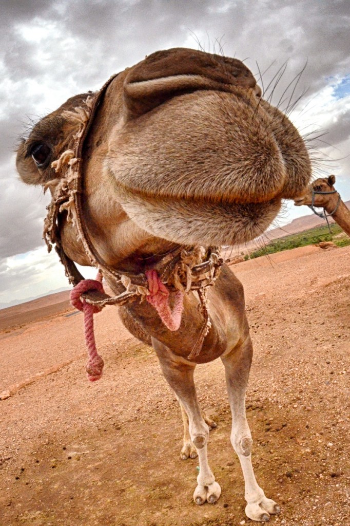 Travel Photography Tours
