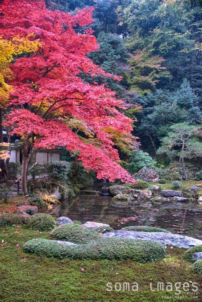 Gardens and Temples of Kyoto, JapanSoma Images