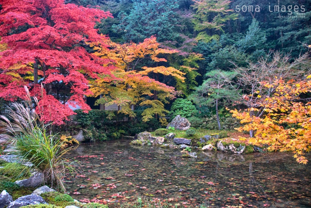 Gardens and Temples of Kyoto, JapanSoma Images