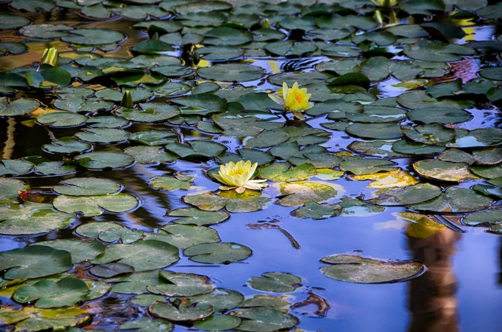Travel Photography Tours