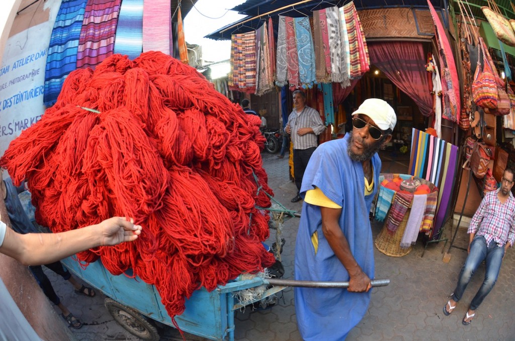 Travel Photography Tours