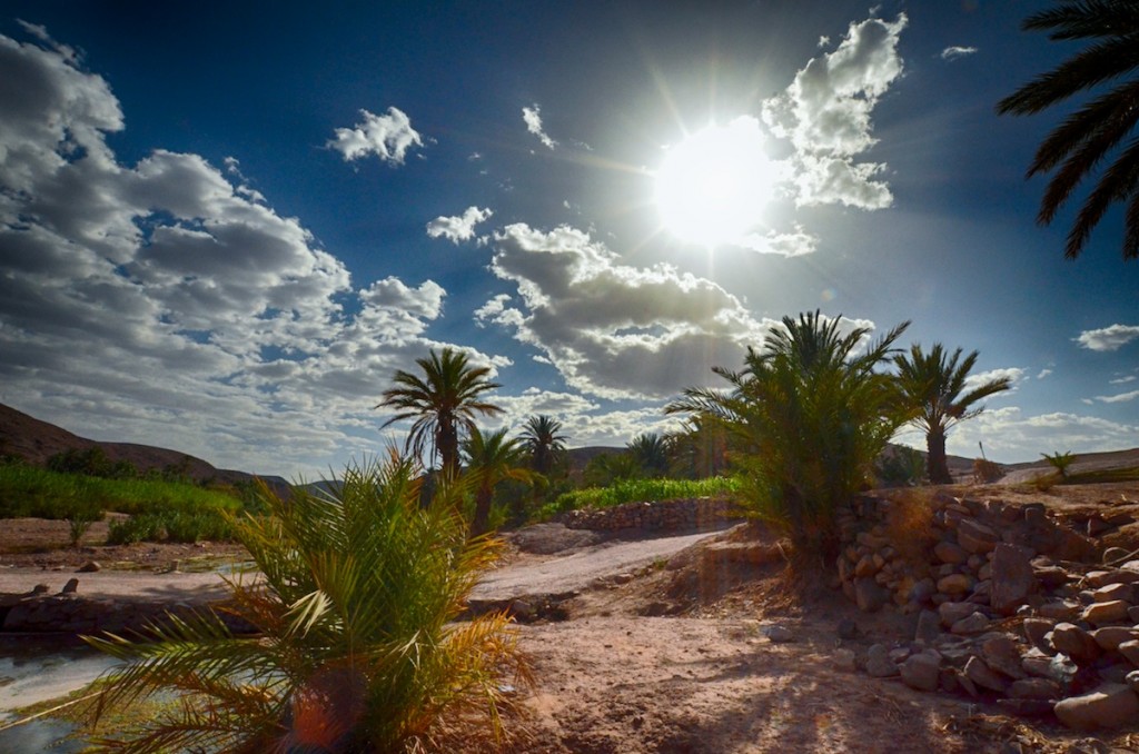 Photography Workshops
