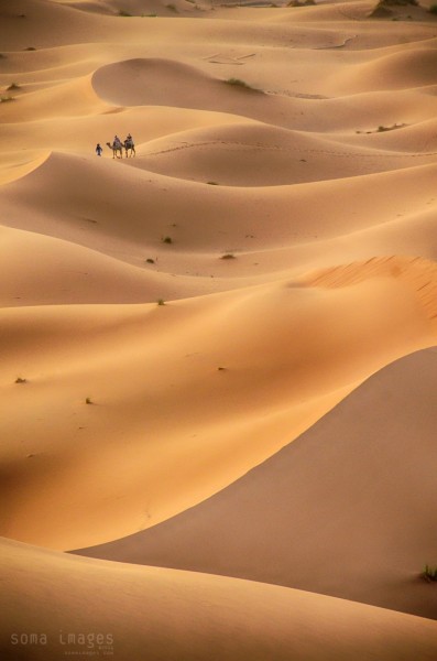 Travel Photography Tours