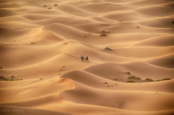 Travel Photography Tours