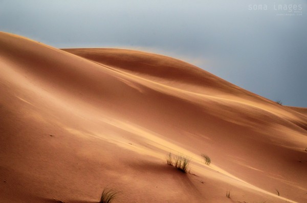 Travel Photography Tours