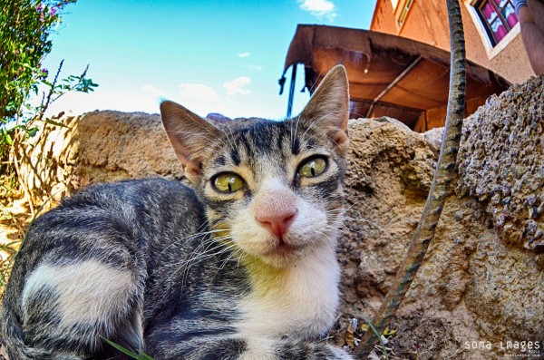 Travel Photography Tours