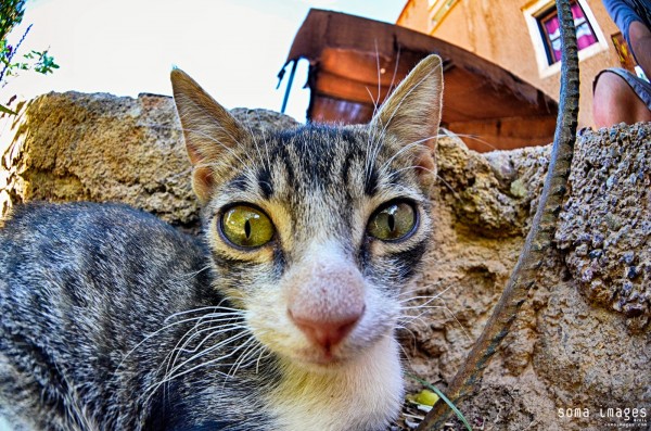 Travel Photography Tours