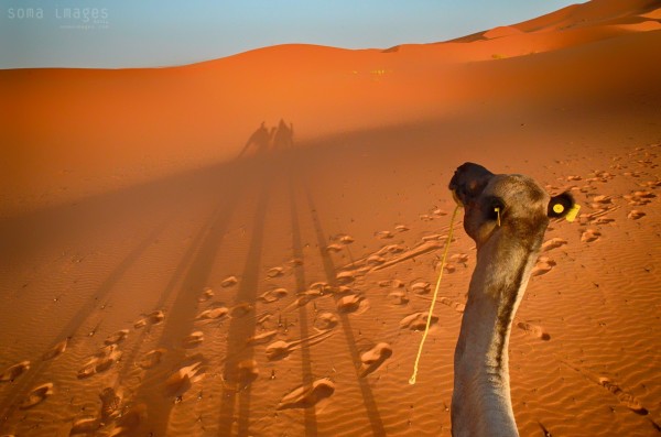 Travel Photography Tours