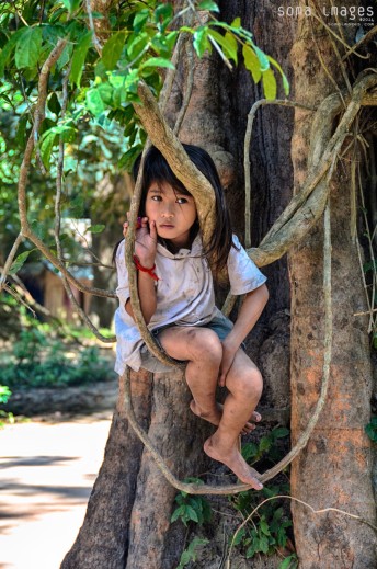 Young girl sitting in tree, Angkor Wat, Cambodia